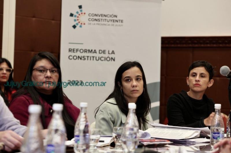 Reforma: docentes universitarios hicieron aportes en la Comisión de Declaraciones, Derechos, Deberes y Garantías 5 Reforma docentes universitarios hicieron aportes en la Comisión de Declaraciones, Derechos, Deberes y Garantías 2