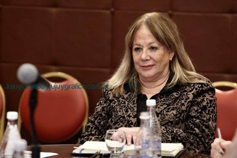Reforma: docentes universitarios hicieron aportes en la Comisión de Declaraciones, Derechos, Deberes y Garantías 2 Reforma docentes universitarios hicieron aportes en la Comisión de Declaraciones, Derechos, Deberes y Garantías 4