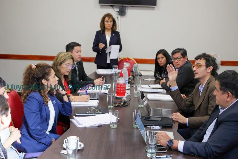 Ronda de Vínculos con la Sociedad, Comisión de Nuevas Declaraciones, Derechos, Deberes y Garantías 1