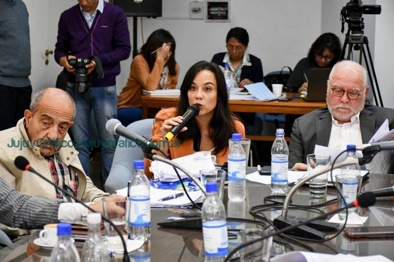 Constituyentes recibieron a los apoderados de los partidos políticos de Jujuy 2 Constituyentes recibieron a los apoderados de los partidos políticos de Jujuy 5