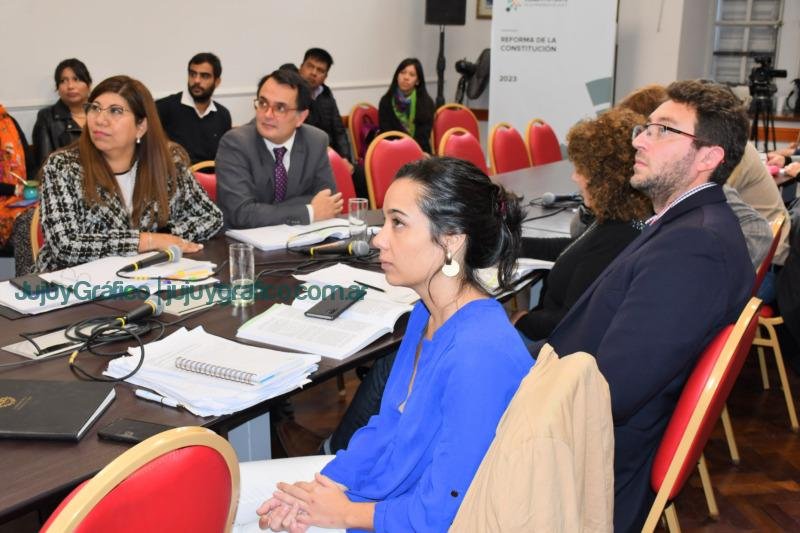 Convención Constituyente “Los Municipios son verdaderas repúblicas representativas” 02
