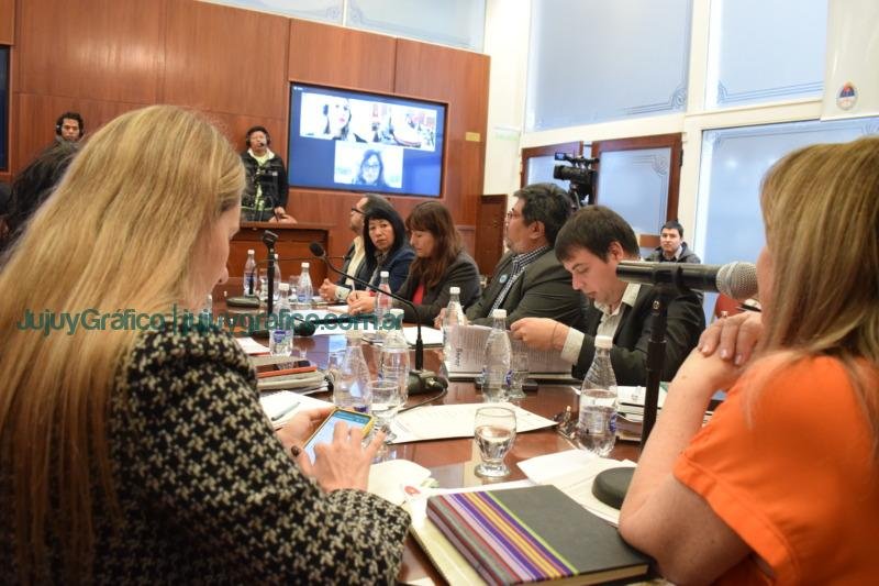 Convencionales y expertos aportaron sobre el tema infancias y adultos mayores 2 Convencionales y expertos aportaron sobre el tema infancias y adultos mayores 1
