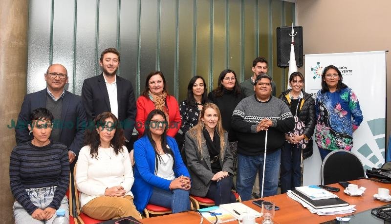 Instituciones de la discapacidad solicitaron actualizar paradigma de la vieja Constitución 1