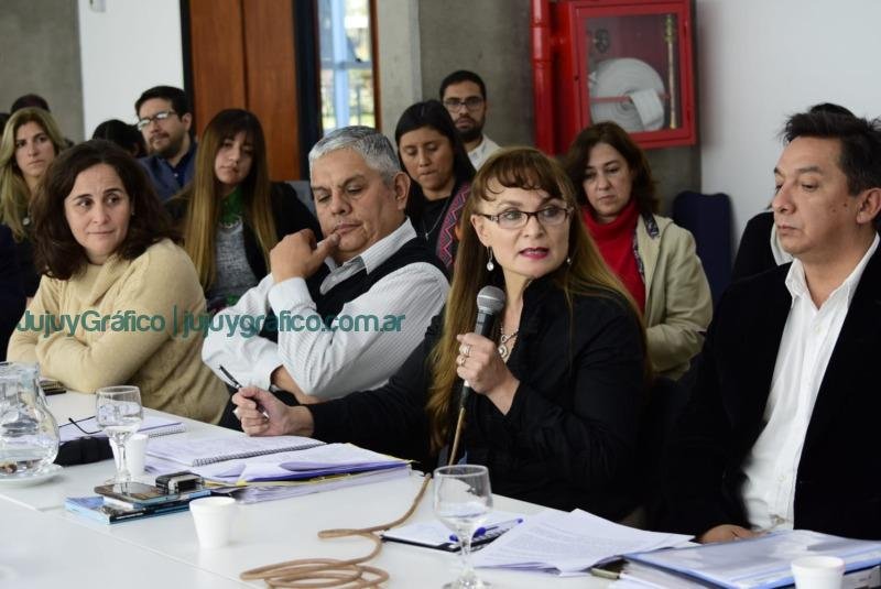 La comisión de Educación, Cultura, Salud y Seguridad escuchó las propuestas de funcionarios y autoridades de la cartera educativa 03