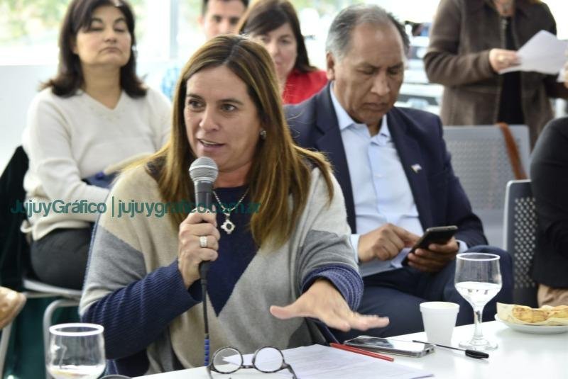 La comisión de Educación, Cultura, Salud y Seguridad escuchó las propuestas de funcionarios y autoridades de la cartera educativa 04