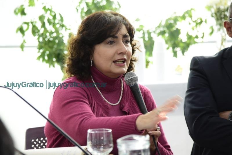 La comisión de Educación, Cultura, Salud y Seguridad escuchó las propuestas de funcionarios y autoridades de la cartera educativa 10
