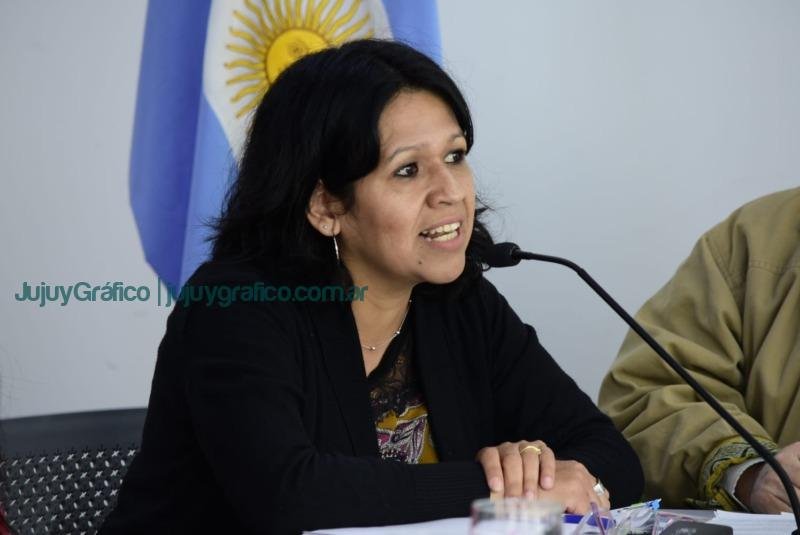 La comisión de Educación, Cultura, Salud y Seguridad escuchó las propuestas de funcionarios y autoridades de la cartera educativa 12