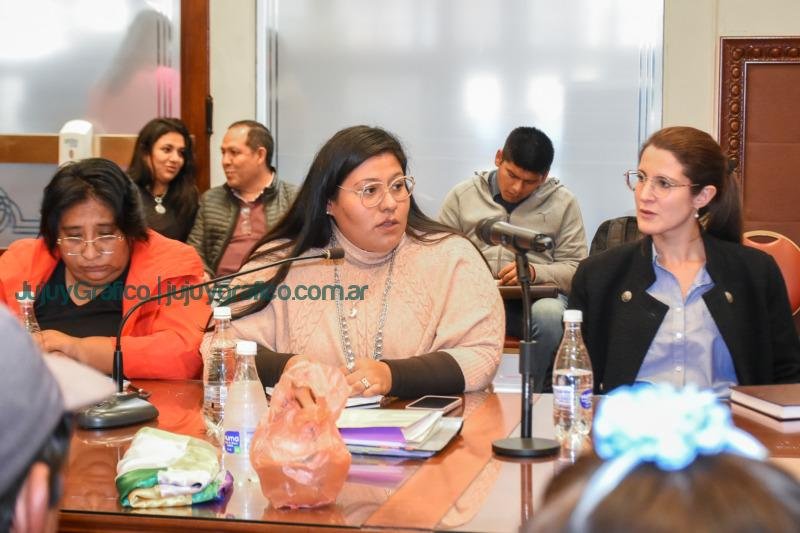 Referentes de pueblos indígenas hicieron su aporte a modificación de la Constitución 3 Referentes de pueblos indígenas hicieron su aporte a modificación de la Constitución 1