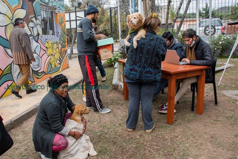 Tenencia Responsable de Mascotas en Huaico 4