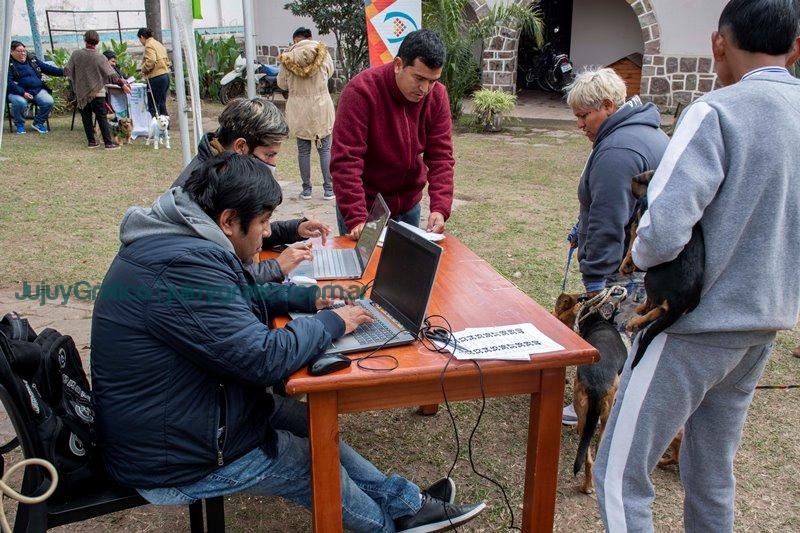 Tenencia Responsable de Mascotas en Huaico 5