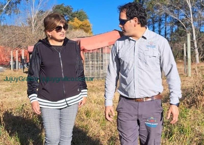 Cóndor encontrado en Purmamarca será intervenido en el Centro Temaiken 2 Cóndor encontrado en Purmamarca será intervenido en el Centro Temaiken 2