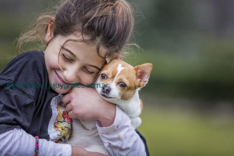 Las claves para el cuidado de la salud de los perros 1 Las claves para el cuidado de la salud de los perros 1