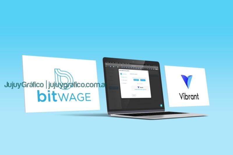 Trabajar para el exterior, cobrar en dólares y recibir pesos al blue es posible Foto 3 Bitwage + Vibrant Trabajar para el exterior, cobrar en dólares y recibir pesos al blue es posible Foto 3 Bitwage + Vibrant