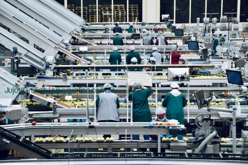 El consumo energético del sector alimentario: un análisis desde la fabricación hasta el transporte 2 El consumo energético del sector alimentario: un análisis desde la fabricación hasta el transporte un grupo de personas en una fábrica