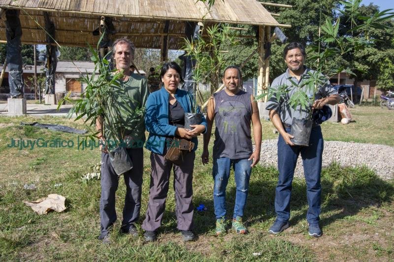Escuela de Oficios de Ledesma pionera en la carpintería de bambú 1 Escuela de Oficios de Ledesma pionera en la carpintería de bambú 1