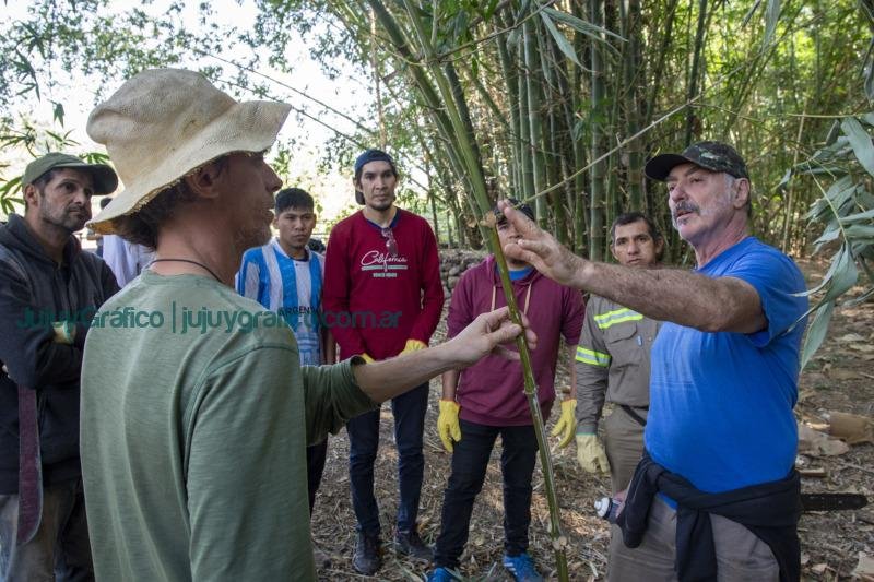 Escuela de Oficios de Ledesma pionera en la carpintería de bambú 2 Escuela de Oficios de Ledesma pionera en la carpintería de bambú 2