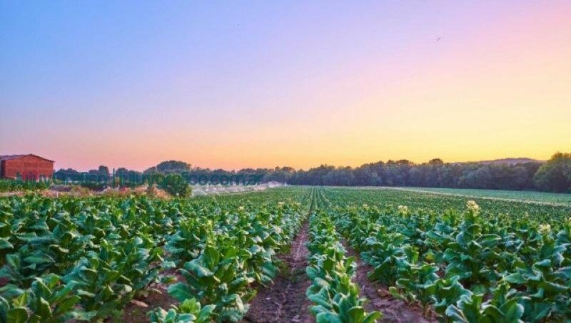 Primera Expo Rural 2023 en Perico: "Jujuy, el Norte de la Producción" 1 Primera Expo Rural 2023 en Perico, Jujuy, el Norte de la Producción