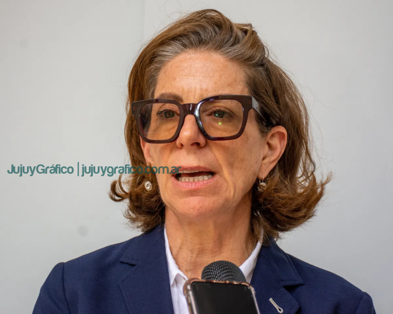 Reunión Estratégica en Jujuy Banco Mundial y funcionarios analizan proyectos mineros y financiamiento 3 Reunión Estratégica en Jujuy Banco Mundial y funcionarios analizan proyectos mineros y financiamiento 3