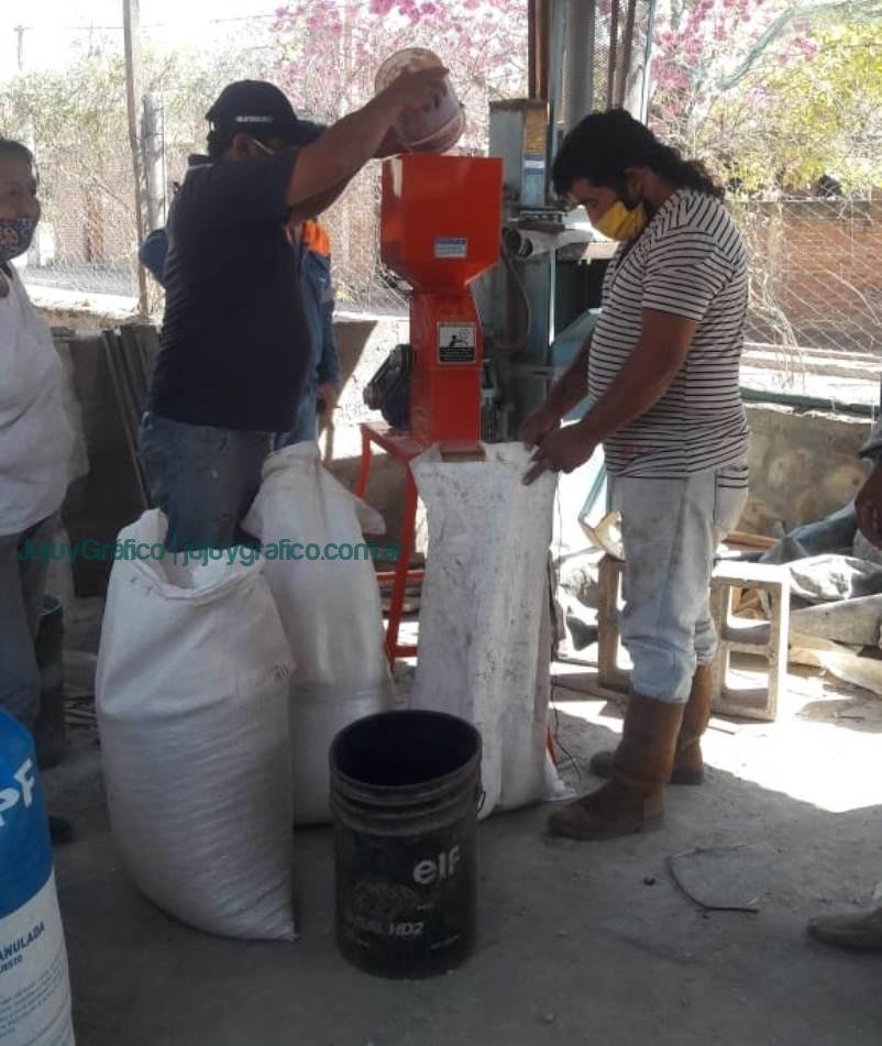 Avícola Construyendo Futuro de Palma Sola, El éxito del trabajo asociativo en Jujuy 13