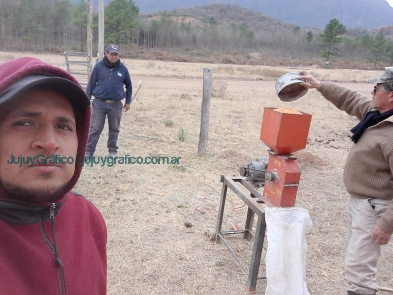 Éxito en El Fuerte, Engorde comunitario de cerdos impulsa Economía Rural 5 Éxito en El Fuerte, Engorde comunitario de cerdos impulsa Economía Rural 5