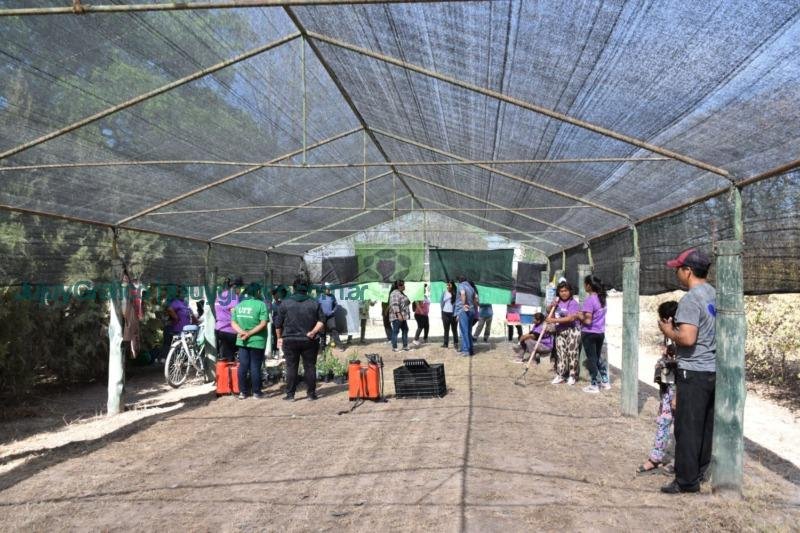 Inauguración de vivero plantas medicinales y aromáticas en Perico, Un impulso al desarrollo sostenible 1