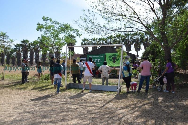 Inauguración de vivero plantas medicinales y aromáticas en Perico, Un impulso al desarrollo sostenible 2