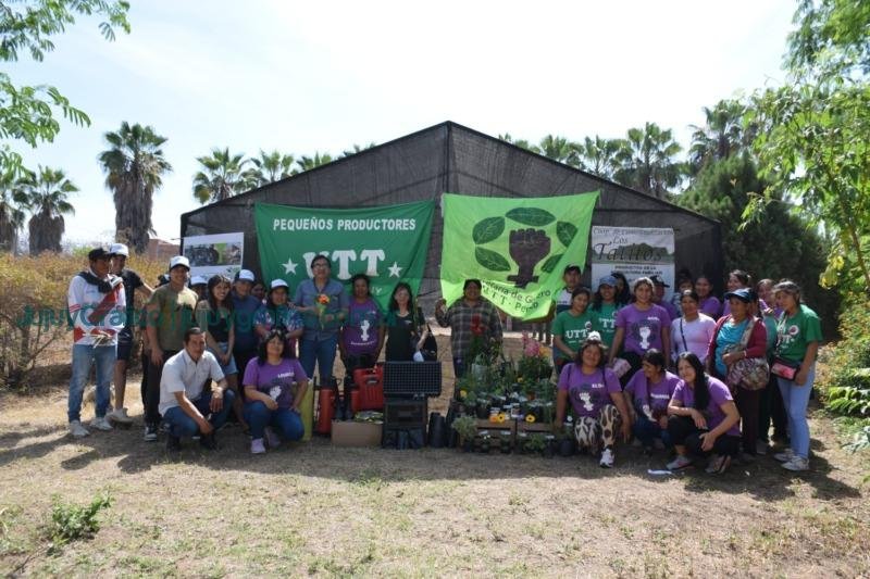 Inauguración de vivero plantas medicinales y aromáticas en Perico: Un impulso al desarrollo sostenible 1 Inauguración de vivero plantas medicinales y aromáticas en Perico, Un impulso al desarrollo sostenible 3