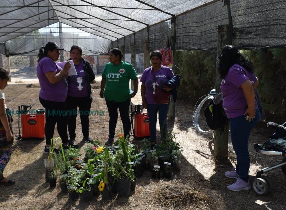 Inauguración de vivero plantas medicinales y aromáticas en Perico, Un impulso al desarrollo sostenible 6