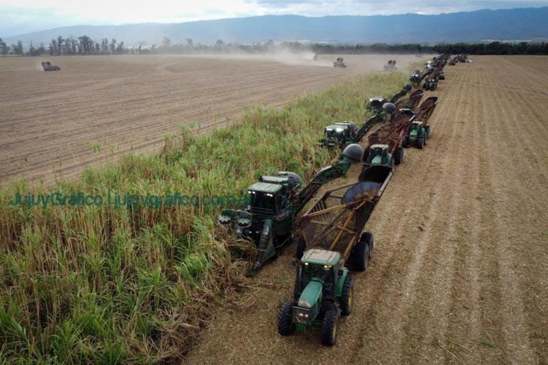 Ledesma culmina exitosa zafra 2023 con mejor rendimiento 5 Ledesma culmina exitosa zafra 2023 con mejor rendimiento
