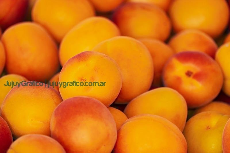Impulso Genético: Frutas de carozo de Jujuy Llderan los Mercados Nacionales 1 Impulso Genético: Frutas de Carozo de Jujuy Lideran los Mercados Nacionales albaricoques, frutas, alimentos, prunus, duraznos, nectarinas Programa de Mejoramiento Genético, Frutas de Carozo, Valles Templados, Jujuy, Cultivares, Banco de Germoplasma, Cruzamientos Dirigidos, Ecotipos de la Quebrada, Sostenibilidad, Calidad Frutícola
