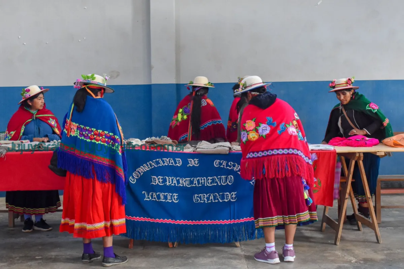 Encuentro del Bordado y Rebozo. Artesanas de la Región se unen en Santa Ana 4