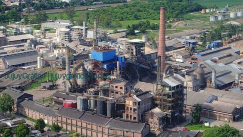 Ledesma invertirá 5 millones de dólares en una fábrica de vajilla biodegradable