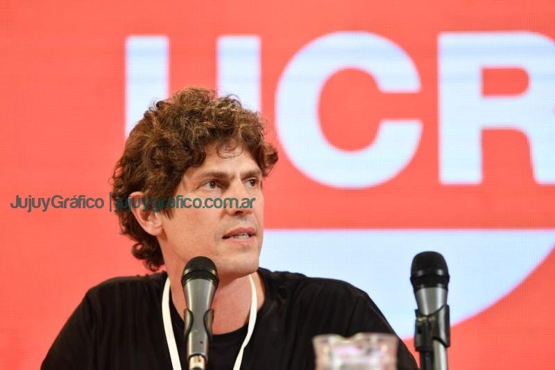 Martín Lousteau, Nuevo Presidente de la UCR y los desafíos de la renovación 4