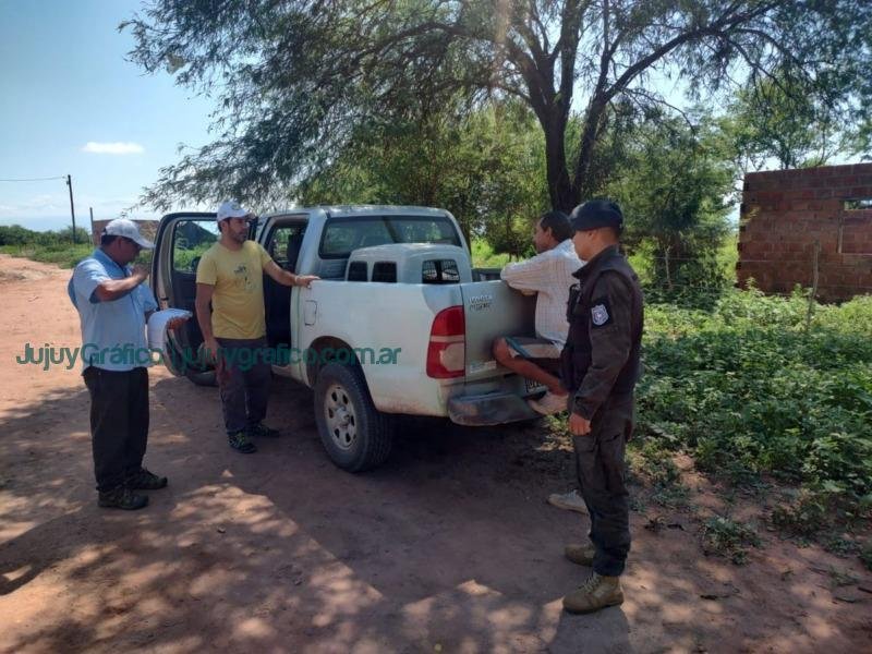 Recuperación exitosa de pecarí de collar en El Acheral 1 Recuperación exitosa de pecarí de collar en El Acheral 1