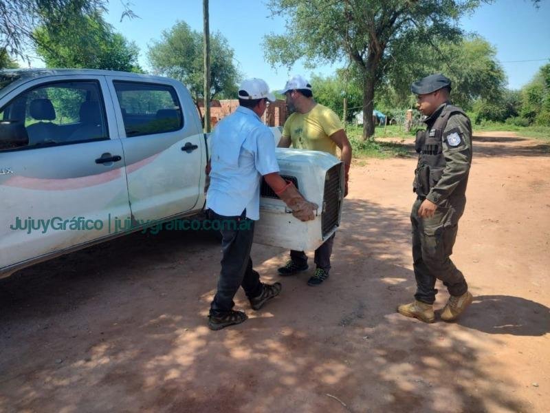 Recuperación exitosa de pecarí de collar en El Acheral 4 Recuperación exitosa de pecarí de collar en El Acheral 4