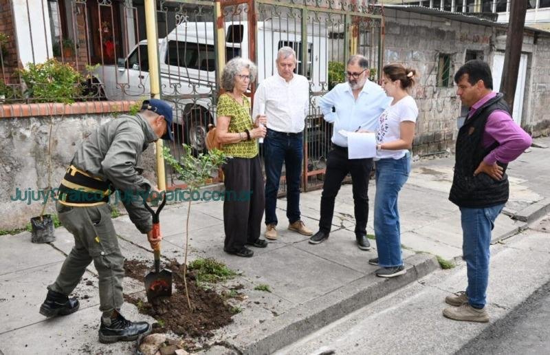 San Salvador de Jujuy fortalece su arborización para combatir el Cambio Climático 2