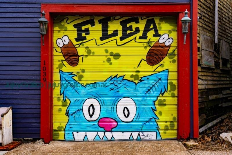 Photo by DJ Johnson red blue and yellow wooden doorCómo elegir el mejor antiparasitario para mascotas: efectividad y economía