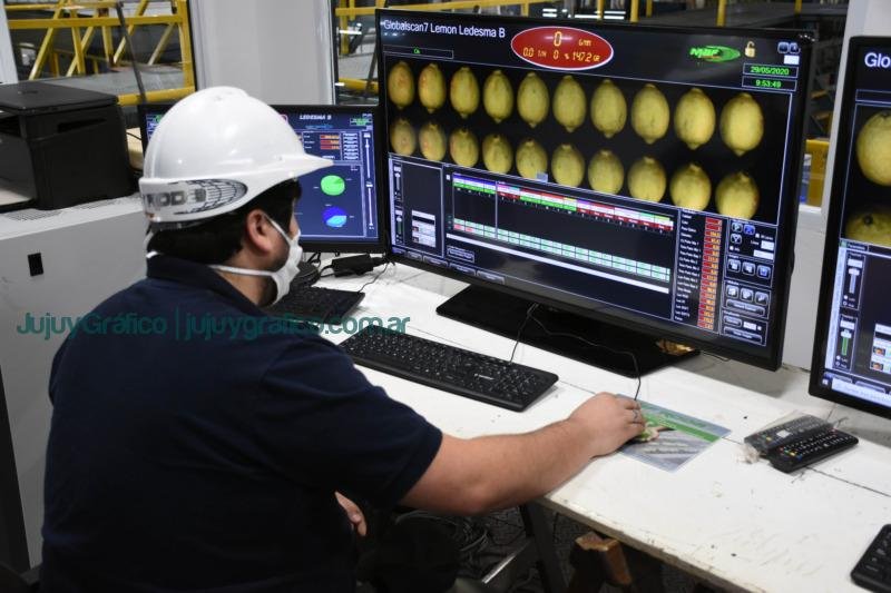 Ledesma. Pionero en exportaciones y compromiso ambiental 1