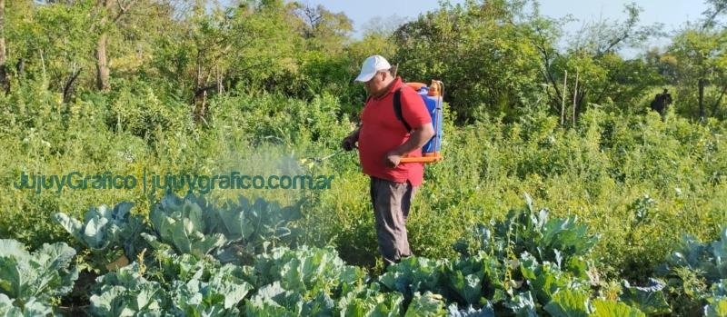 Cooperativa Tierra Jujeña. Impulsando el desarrollo agrícola en el Ramal de Jujuy 03 Cooperativa Tierra Jujeña. Impulsando el desarrollo agrícola en el Ramal de Jujuy 03