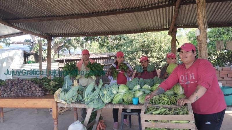 Cooperativa de Trabajo Tierra Jujeña: Impulsando el desarrollo agrícola en el Ramal de Jujuy 4 Cooperativa Tierra Jujeña. Impulsando el desarrollo agrícola en el Ramal de Jujuy 04