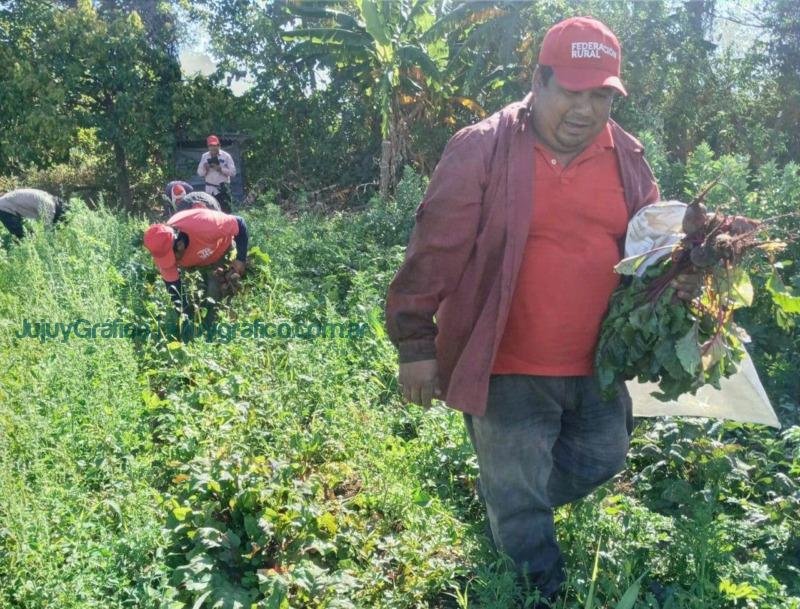 Cooperativa Tierra Jujeña. Impulsando el desarrollo agrícola en el Ramal de Jujuy 07 Cooperativa Tierra Jujeña. Impulsando el desarrollo agrícola en el Ramal de Jujuy 07