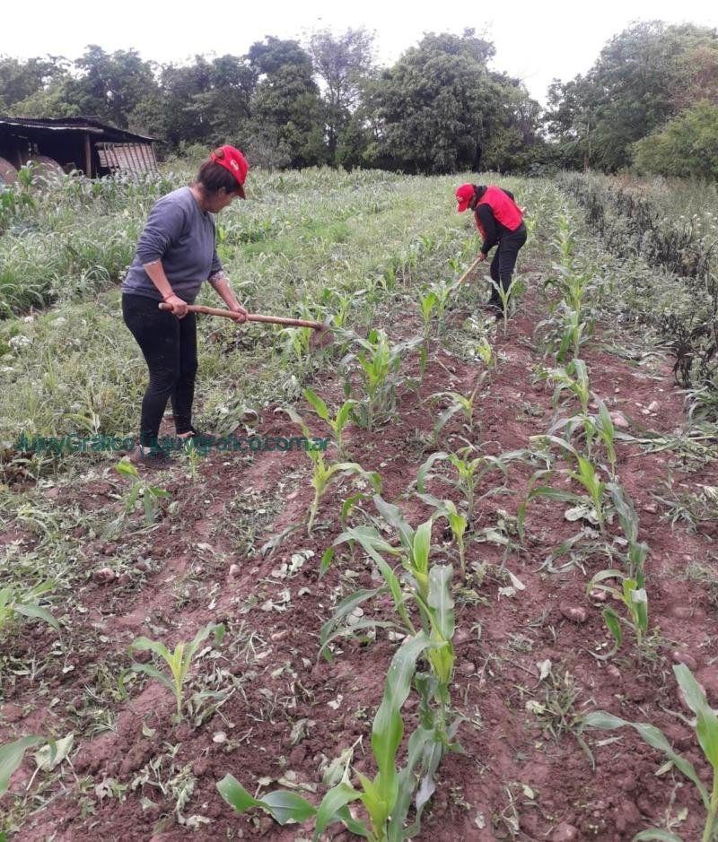 Cooperativa Tierra Jujeña. Impulsando el desarrollo agrícola en el Ramal de Jujuy 09 Cooperativa Tierra Jujeña. Impulsando el desarrollo agrícola en el Ramal de Jujuy 09