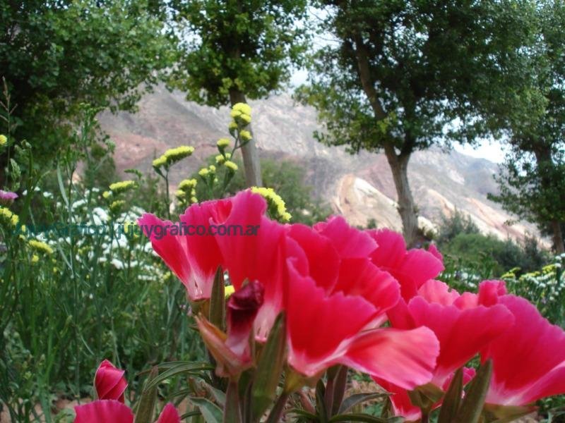 Desafíos y esperanzas de la Cooperativa Flor de la Quebrada 1