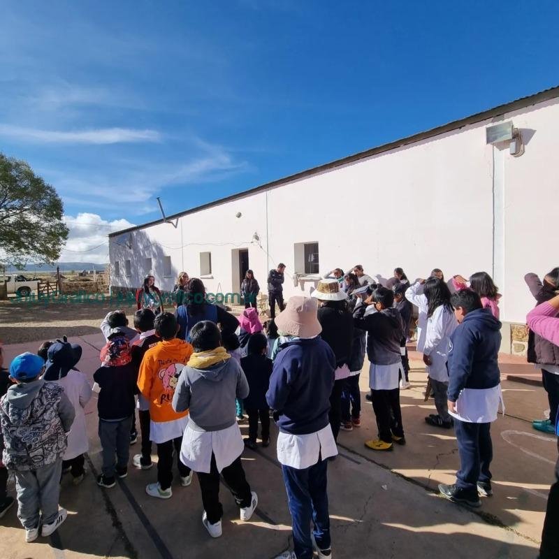 FNE | Misión Primavera: Concluyó el recorrido por la Puna Jujeña 6 FNE Misión Primavera Concluyó el recorrido por la Puna Jujeña 11