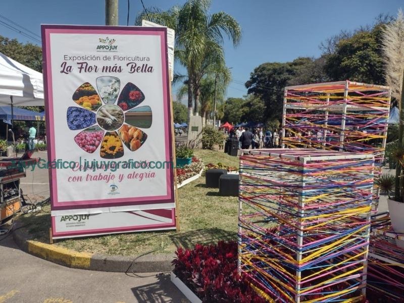 “La Flor más Bella” y el compromiso de la Asociación APPJUY 1