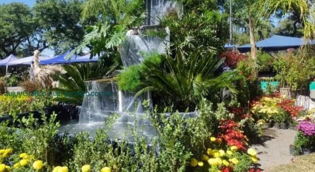 “La Flor más Bella” y el compromiso de la Asociación APPJUY 1 “La Flor más Bella” y el compromiso de la Asociación APPJUY 2
