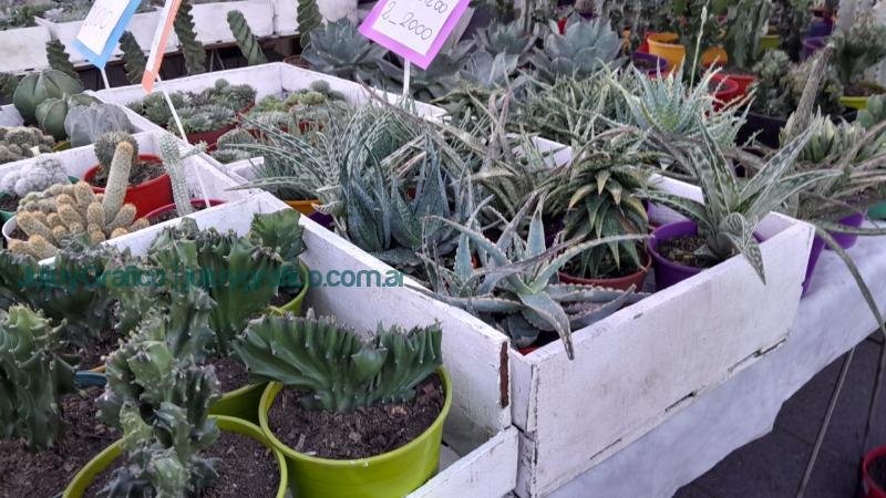 “La Flor más Bella” y el compromiso de la Asociación APPJUY 3