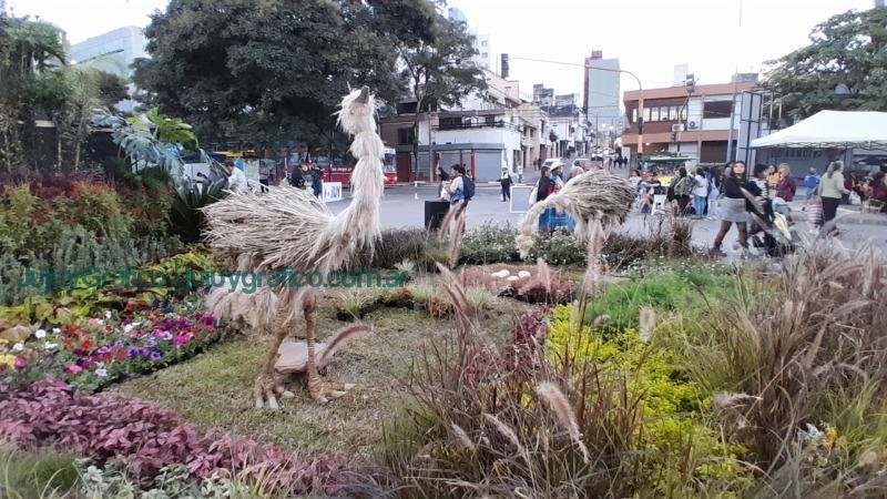 “La Flor más Bella” y el compromiso de la Asociación APPJUY 5