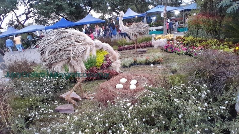 “La Flor más Bella” y el compromiso de la Asociación APPJUY 6