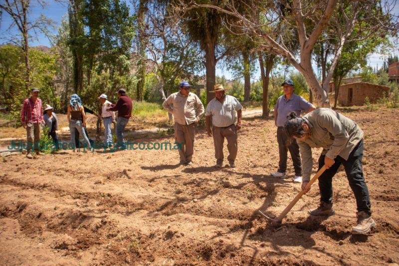 Proyecto Maíces Nativos del Noroeste Argentino Rescate y Preservación de una herencia cultural y agrícola centenaria 6